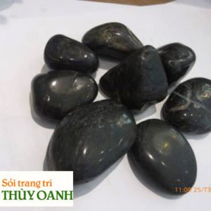 Sỏi đen bóng