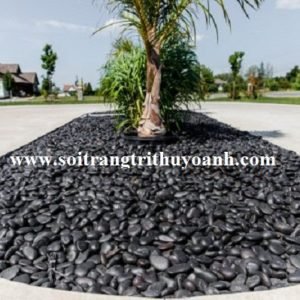 Sỏi đen bóng tô điểm cho tiểu cảnh sân vườn