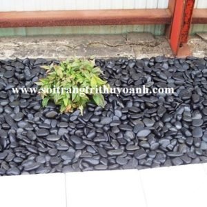 Tiểu cảnh được trang trí bằng sỏi đen bóng