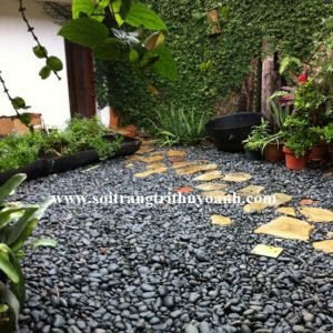 Lối đi sân vườn trang trí bằng sỏi đen bóng