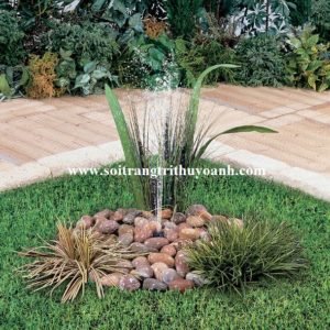 Tô điểm cho bụi cây cảnh bằng sỏi đỏ bóng