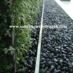 Đẹp hơn với sỏi đen bóng trang trí xung quanh bể bơi