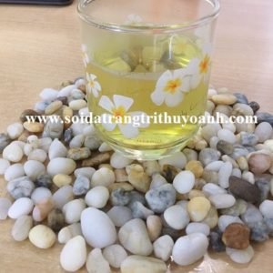 Sạn lọc nước 5