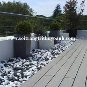 Cảnh quan sân vườn trang trí bằng sỏi đen và sỏi trắng bóng