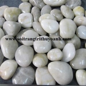 Sỏi trắng bóng ốp lát trang trí