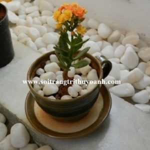 Tạo điểm nhấn cho tiểu cảnh bằng sỏi trắng bóng