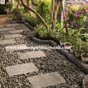 Sỏi đen tự nhiên trang trí tiểu cảnh sân vườn