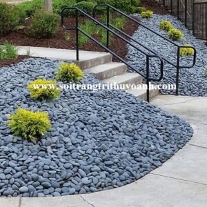 Sỏi đen tự nhiên trang trí tiểu cảnh cho không gian xung quanh thêm phần đẹp hơn