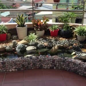 Nét đẹp của sỏi đen tự nhiên trang trí cho hồ cá