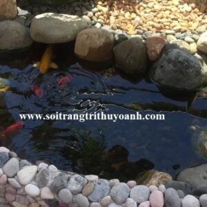 Sỏi đen tự nhiên trang trí bể cá cho không gian thêm mới lạ