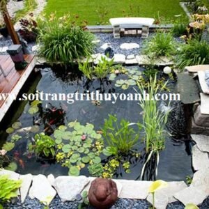 Không gian sân vườn thêm đẹp với tiểu cảnh hồ cá trang trí bằng sỏi đen tự nhiên