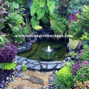 Thêm không gian xanh xung quanh bể cá trang trí bằng sỏi đen tự nhiên