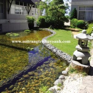 Không gian thêm tươi mát bới hồ cá ngoài trời