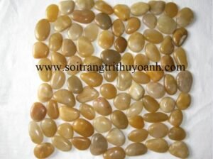 Sỏi vàng bóng