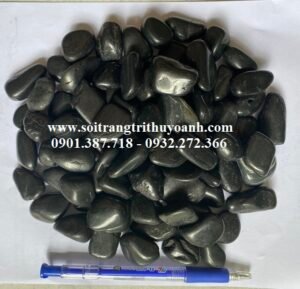 Sỏi đen bóng