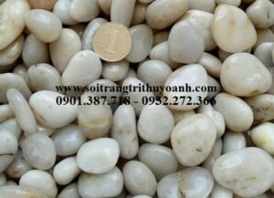 Sỏi trắng bóng nhập khẩu