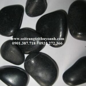 Sỏi đen bóng nhập khẩu