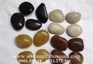 Sỏi bóng 