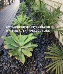 Không gian sống thêm đẹp khi trang trí cùng sỏi đen bóng
